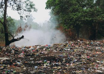 JKP “Šumadija” uklanja divlje deponije