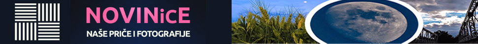 Novinice