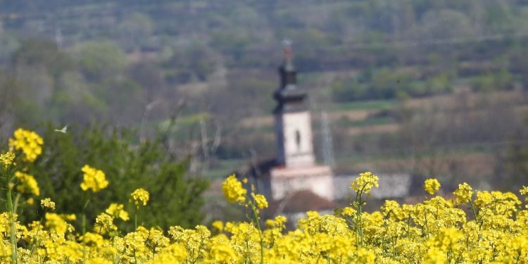 Izbori za savete mesnih zajednica, Žabare, Gorovič i Trnava varošica