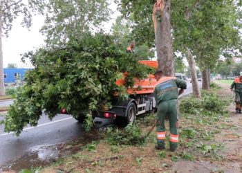 Kragujevac: U toku radovi na otklanjanju posledica nevremena