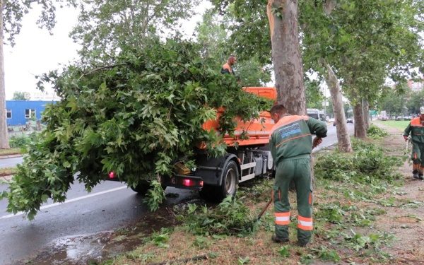 Kragujevac: U toku radovi na otklanjanju posledica nevremena