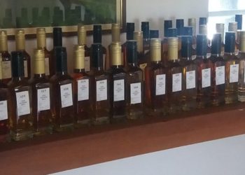 XIX Međunarodno ocenjivanje vina i rakija OPLENAC FEST