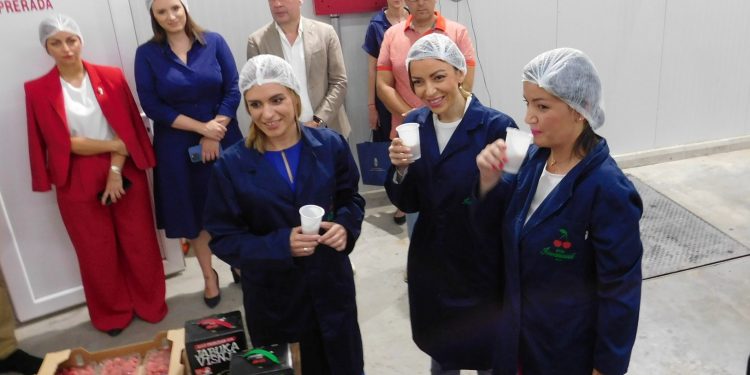 Poseta ministarki Adrijane Mesarovic i Milice Đurđević Stamenkovski, selima Gornje Jasenice (VIDEO)