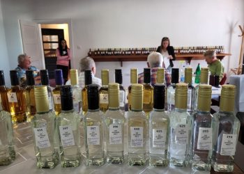 Topola: Jubilarni međunarodni XX OPLENAC FEST