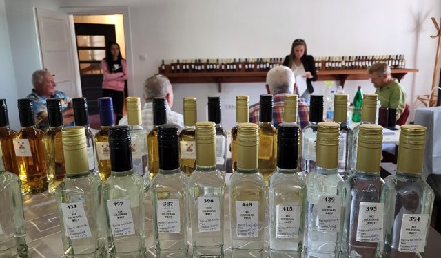 Topola: Jubilarni međunarodni XX OPLENAC FEST