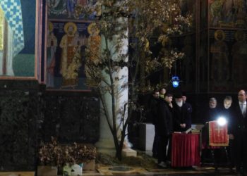 Božićni dani u Topoli